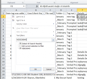 Filter columns in excel for the filename you want to compare.
